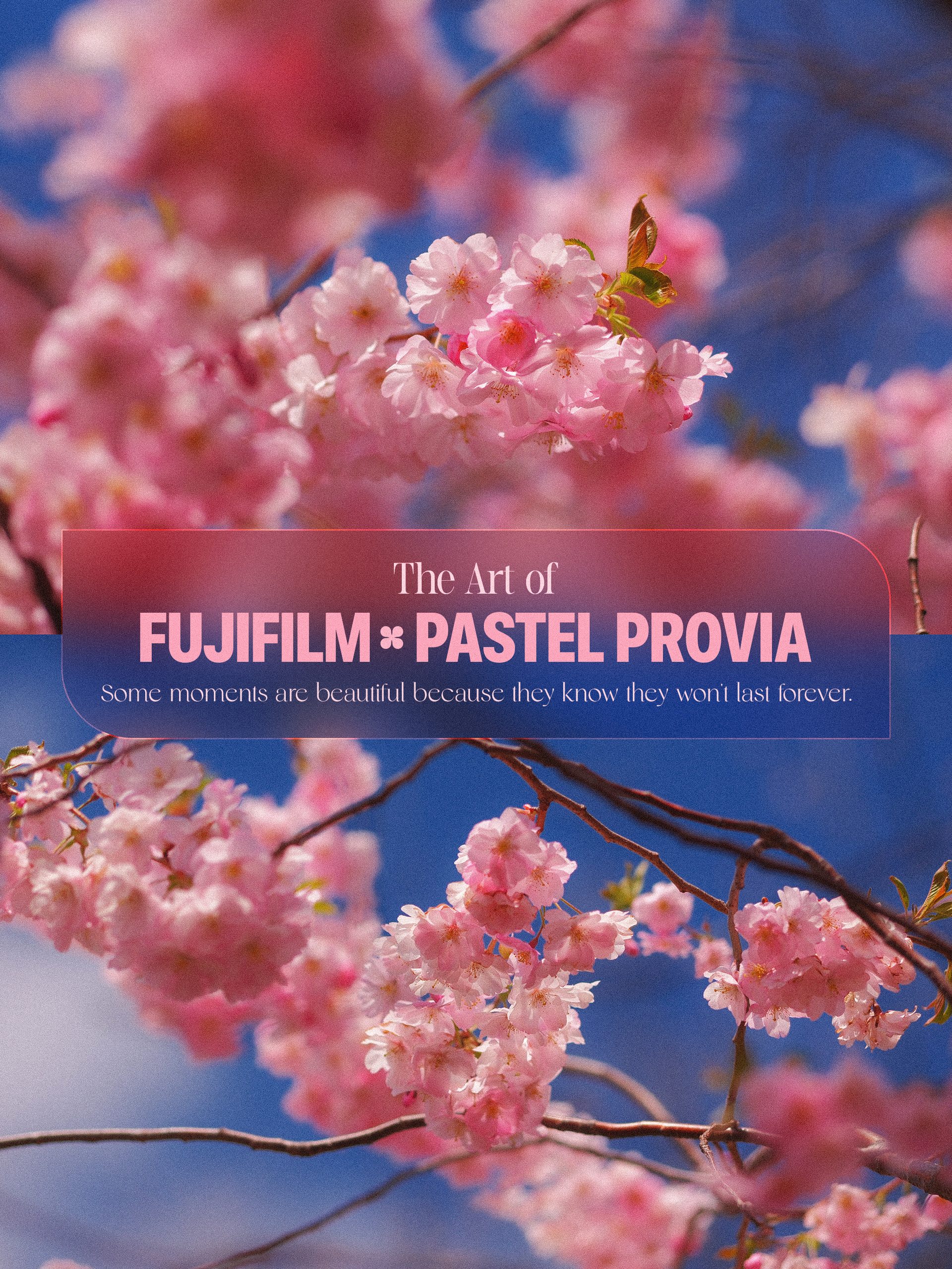 Pastel Provia — A Fujifilm Recipe for Spring 🌸